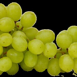 grapes, isolated, fruit